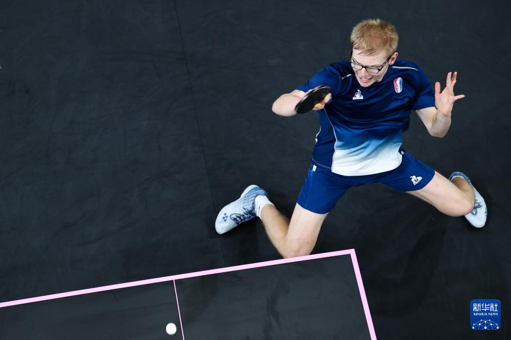 能力嵌入体 能力嵌入体